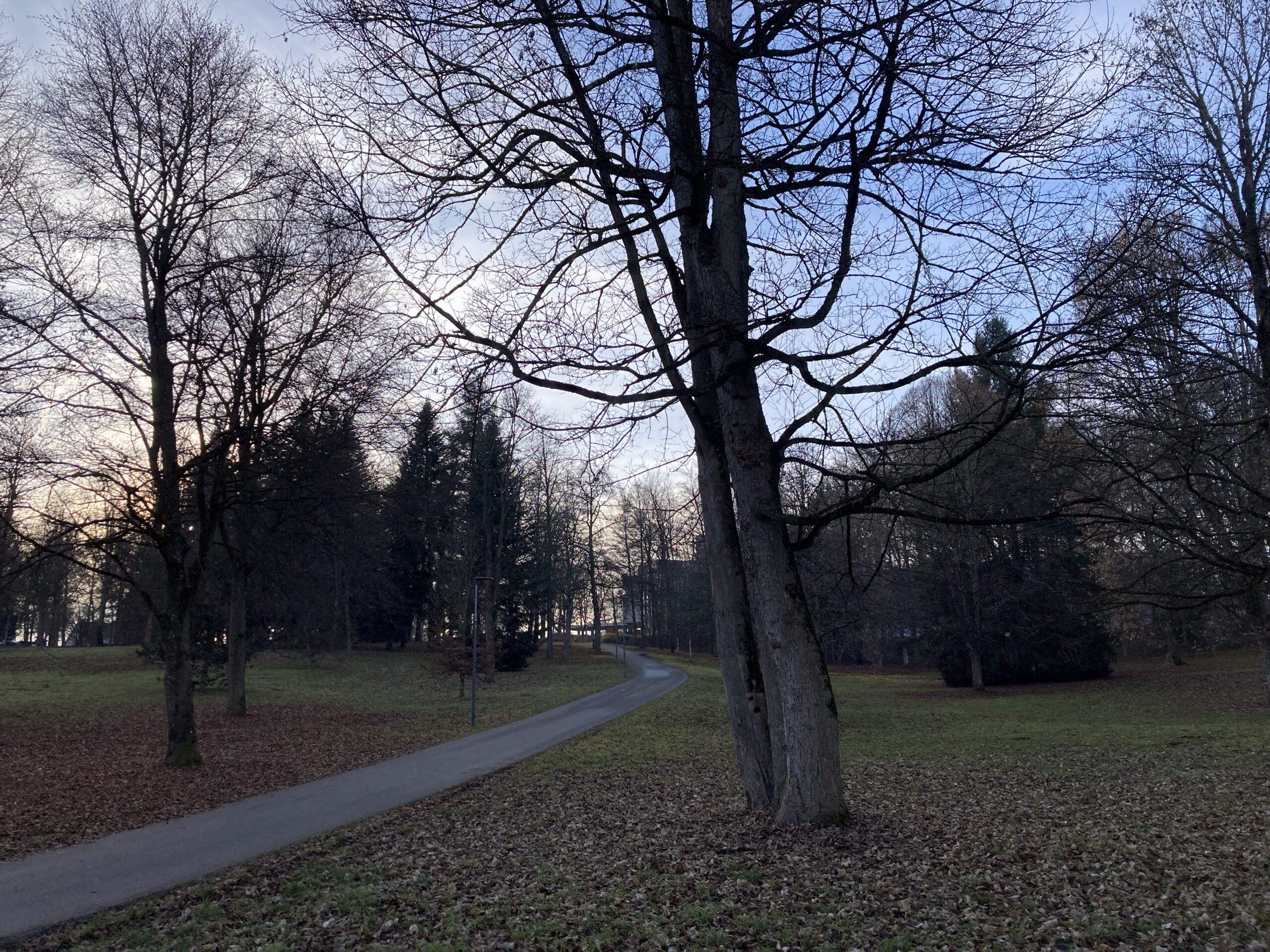 Stadtpark