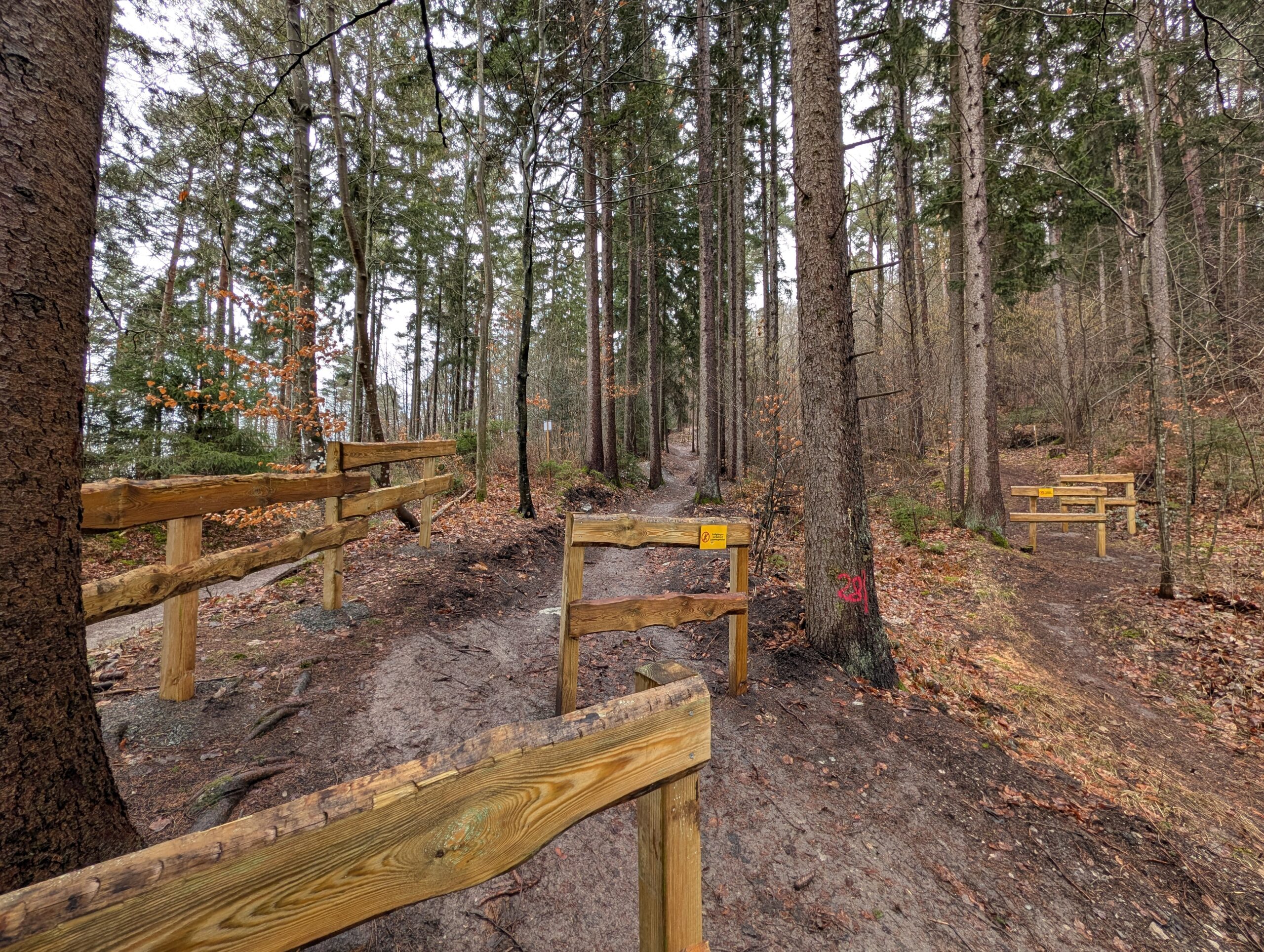 Mountainbike-Strecke Rottweil